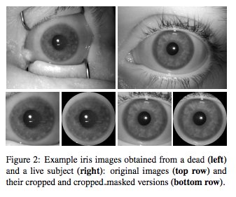 Illustration for article titled To Fool This Iris Scanner, You're Gonna Need a Really Fresh Eyeball